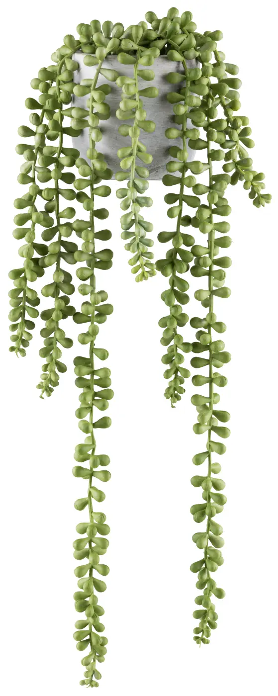 Sedumhänger 50 hellgrün -  JOHAN