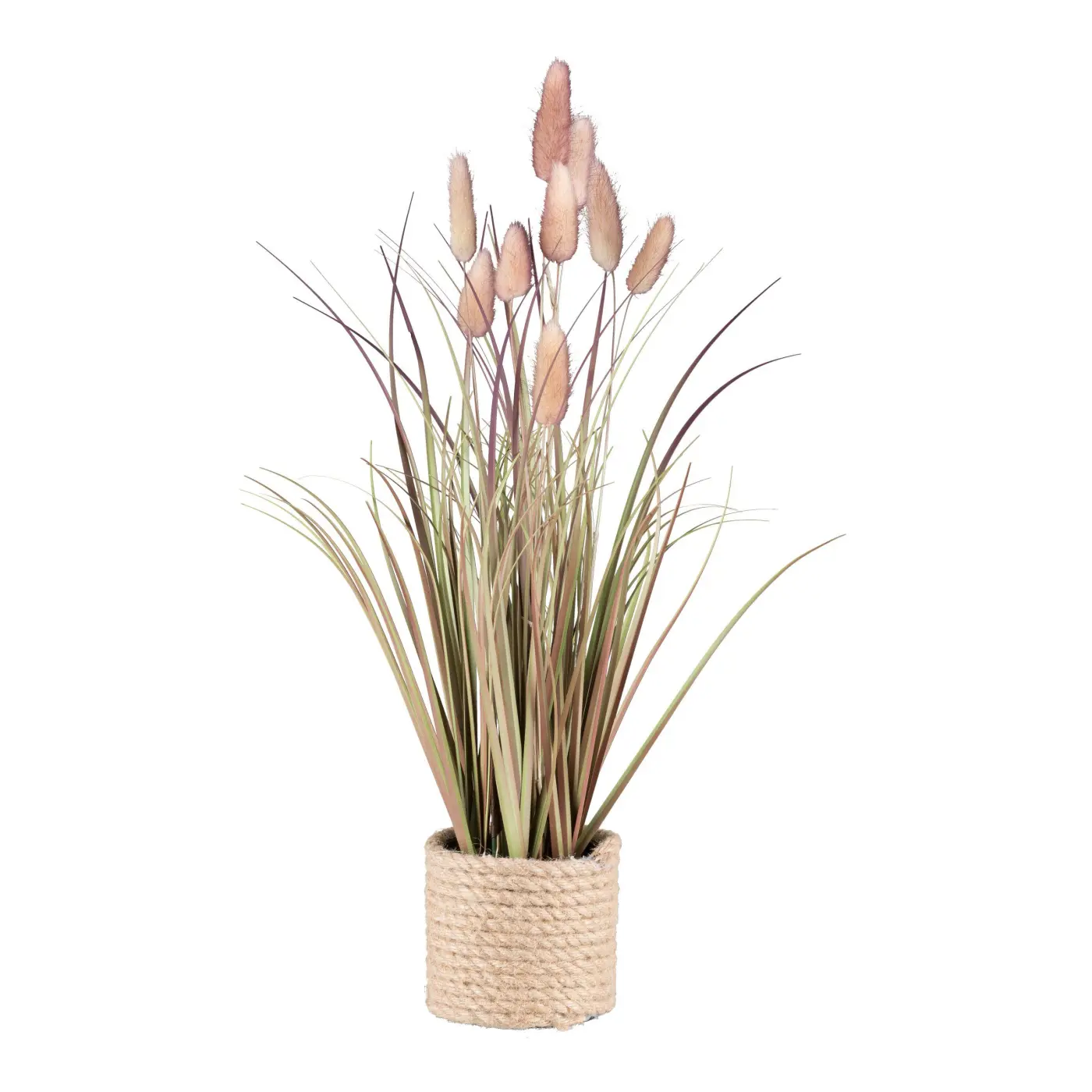 Lagurusgras rosa -  BALTO