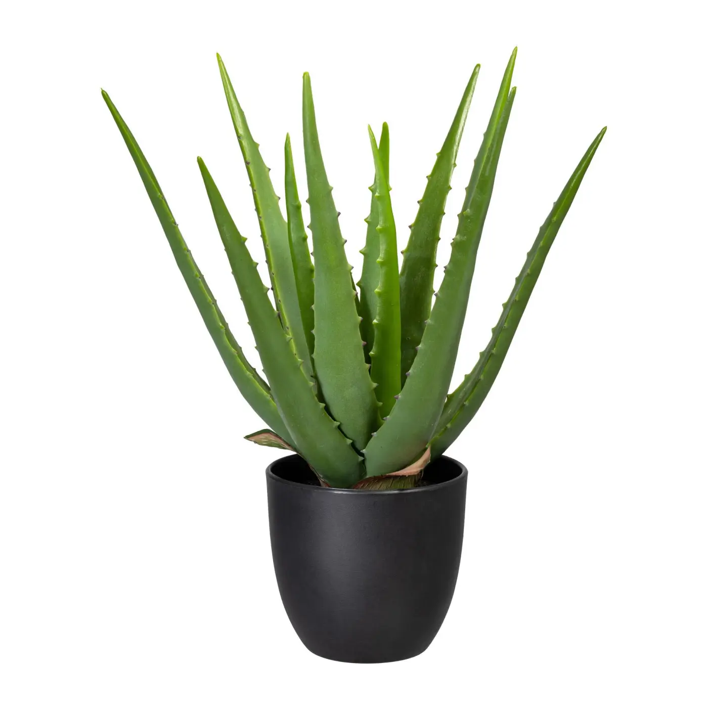 Aloe 50 grün -  JAKOE