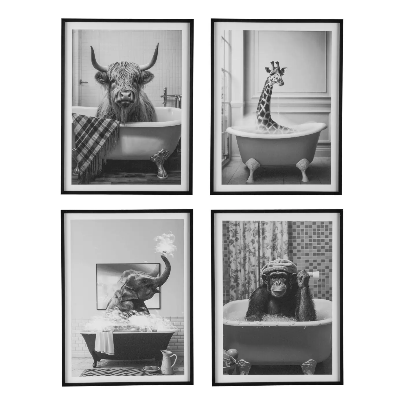 Canvas schwarz -  ANUMAL FREAKY