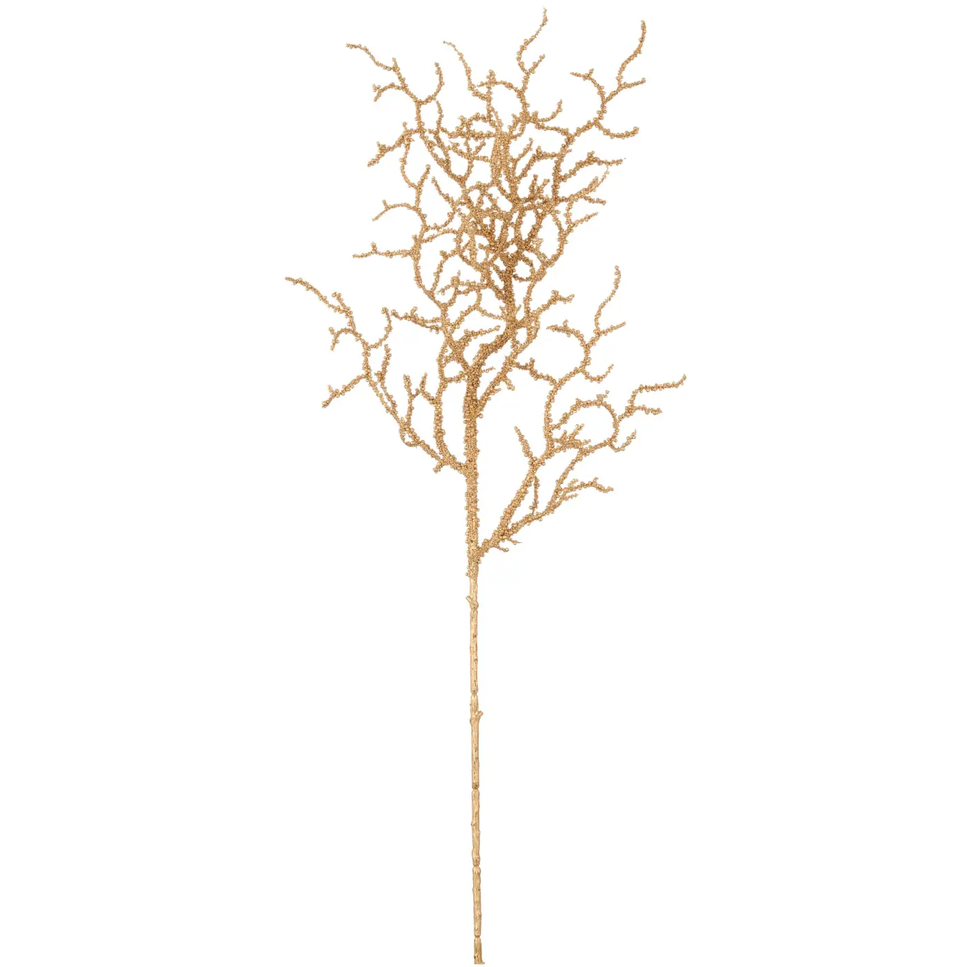 Korallenzweig 39 gold -  DAISY