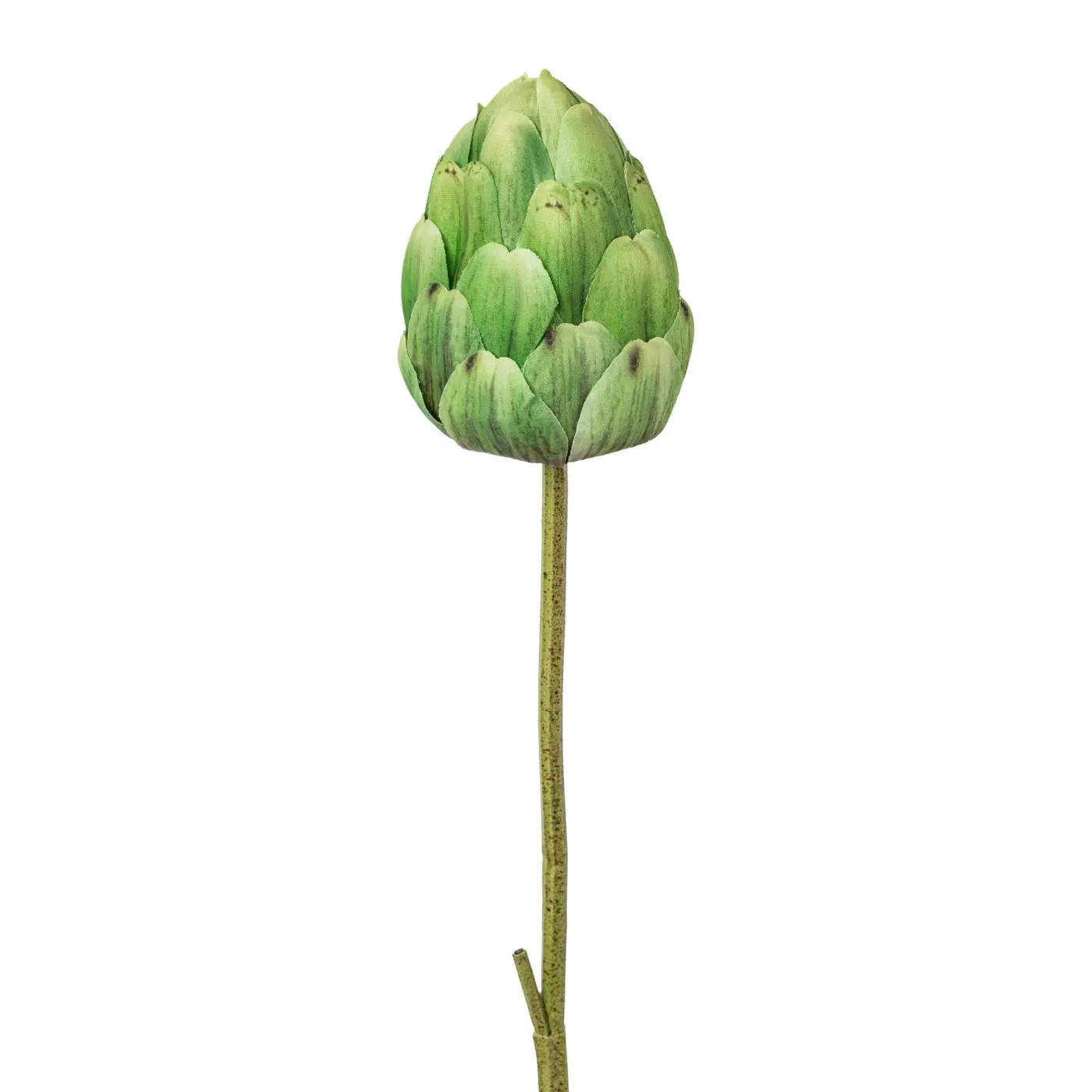 Artischocke grün -  CASAN